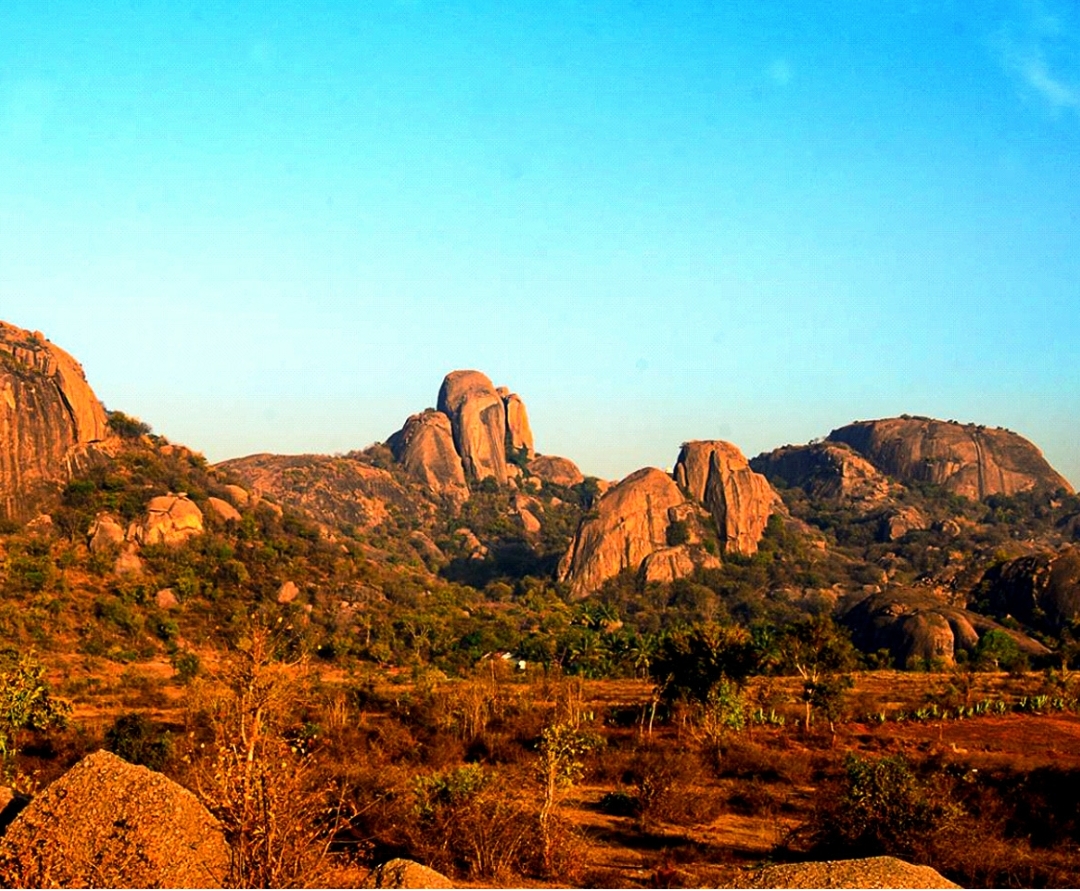 ರಣಹದ್ದು ಪ್ರದೇಶ