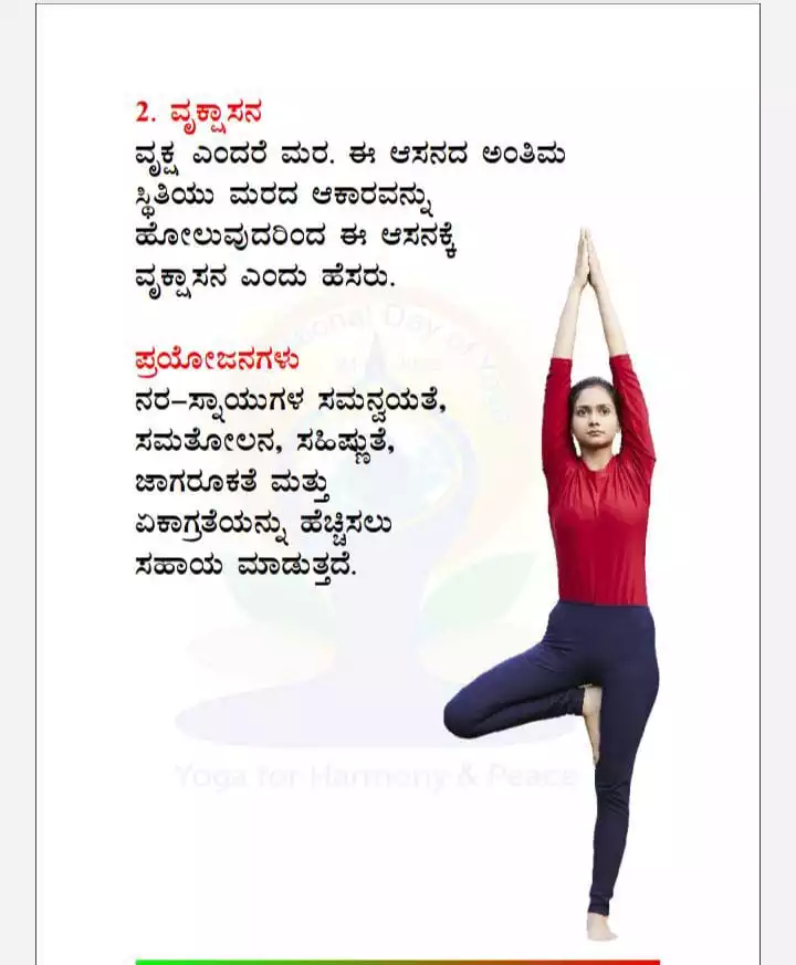 ನಿ2-ವೃಕ್ಷಾಸನ